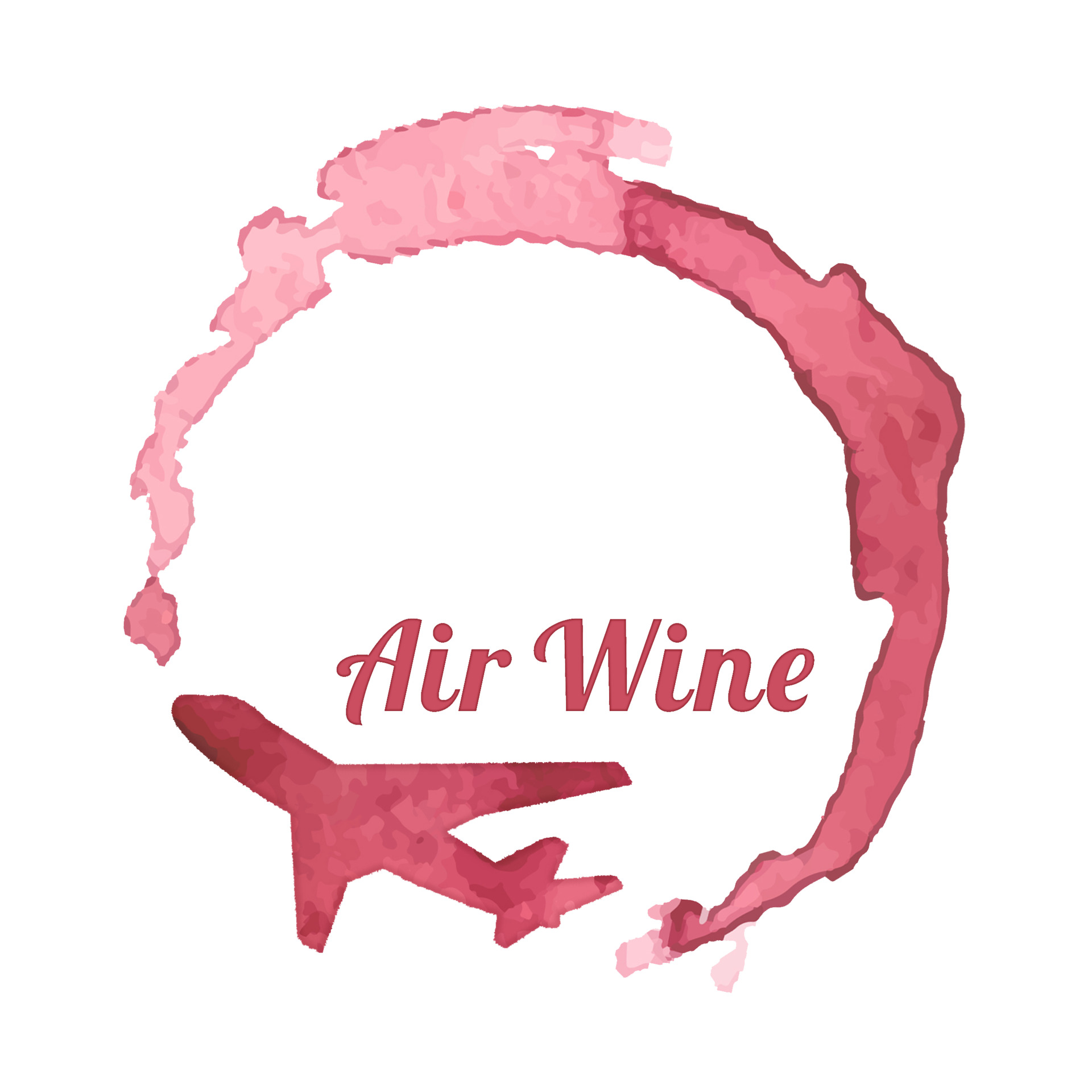 AIRWINE - Letecký trenažer
